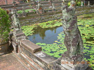 61 99d. Indonesia - Bali - temple at Klungkung - lilies in the moat