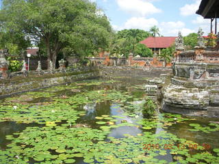 62 99d. Indonesia - Bali - temple at Klungkung - lilies in the moat