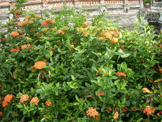 65 99d. Indonesia - Bali - temple at Klungkung - flowers