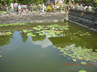 127 99d. Indonesia - Bali - temple at Klungkung - lilies in moat