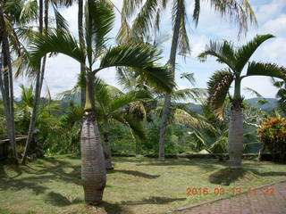 221 99d. Indonesia - Bali - lunch with hilltop view - cool trees