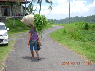 238 99d. Indonesia - Bali - lunch with hilltop view - carrying a load