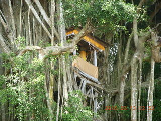 326 99d. Indonesia - Bali - Temple at Bangli - treehouse in giant banyon tree