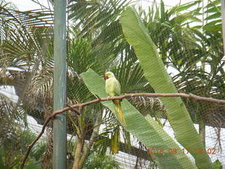 110 99h. Malaysia - Kuala Lumpur - KL Bird Park
