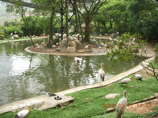 151 99h. Malaysia - Kuala Lumpur - KL Bird Park - water