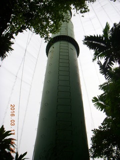 158 99h. Malaysia - Kuala Lumpur - KL Bird Park tower holding netting up