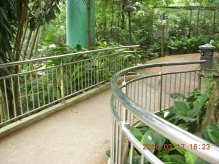 159 99h. Malaysia - Kuala Lumpur - KL Bird Park path
