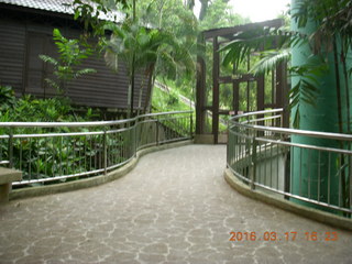 161 99h. Malaysia - Kuala Lumpur - KL Bird Park path