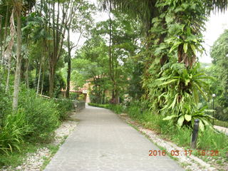 171 99h. Malaysia - Kuala Lumpur - KL Bird Park - path