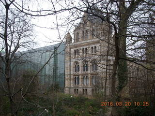 30 99l. London Natural History museum