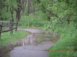 Wissahickon Green Ribbon Trail run