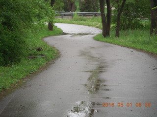 Wissahickon Green Ribbon Trail run