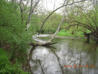 Wissahickon Green Ribbon Trail run