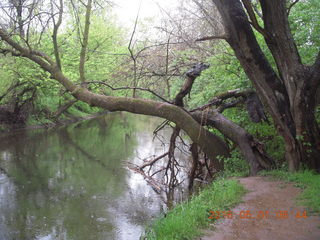 Wissahickon Green Ribbon Trail run
