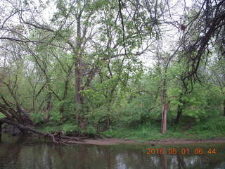 Wissahickon Green Ribbon Trail run