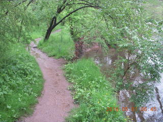 Wissahickon Green Ribbon Trail run