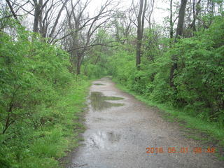 Wissahickon Green Ribbon Trail run