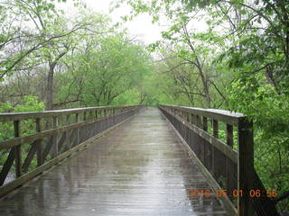 Wissahickon Green Ribbon Trail run