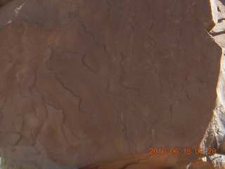 49 9cj. Zeb's dinosaur tour - footprints