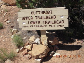 Cutthroat sign
