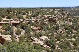 297 9ck. Hovenweep National Monument canyon