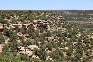 Hovenweep National Monument canyon