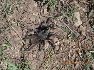 Piper external starter cable