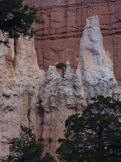 Bryce Canyon weekend - Ana's pictures