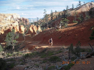 2989 9g1. Bryce Canyon - Fairyland hike - Adam