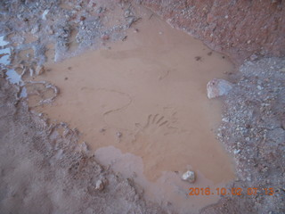 Bryce Canyon - Bryce Point hike - puddle with hand print