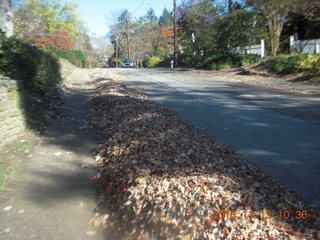 Pennsylvania - Elkins Park - 8219 Forest Avenue - sidewalk