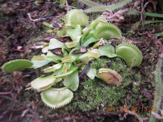 108 9l5. Longwood Gardens with the Schubels + Venus Fly trap