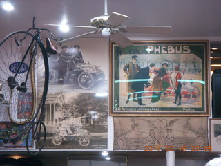 cool cockatoo shopping at The Home Depot