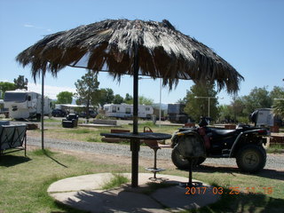 415 9mr. Alamo Lake oasis