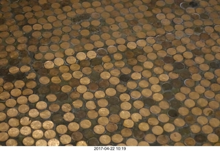 446 9nn. Alamo Lake - Wayside Oasis - pennies on the bathroom floor