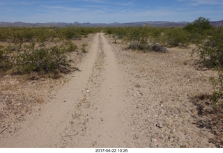 Alamo Lake - Wayside dirt road