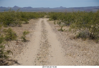 462 9nn. Alamo Lake - Wayside dirt road