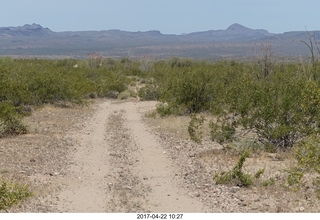 463 9nn. Alamo Lake - Wayside dirt road