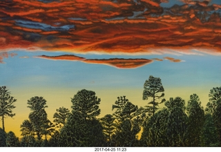 new- camera  Jacqui's sunset painting