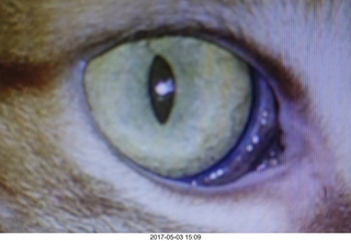 15 9p3. new camera - Max's eye close-up from picture of picture