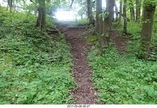 Pennypack Park run - path