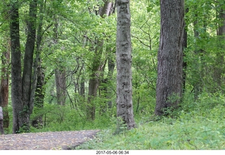 Pennypack Park run - Adam running