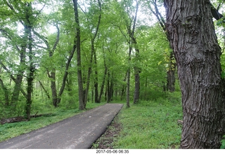 Pennypack Park run - Adam running