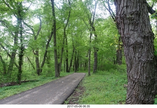 Pennypack Park run