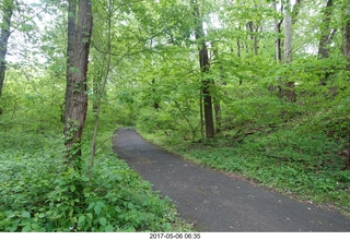 Pennypack Park run - Adam running