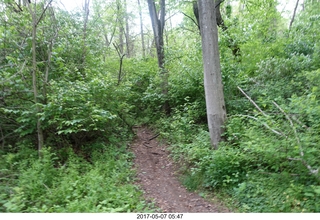 Pennypack Park run