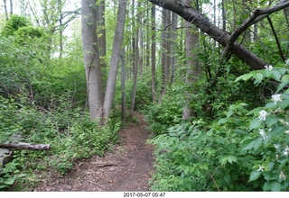 Pennypack Park run