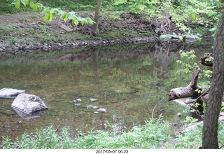 Pennypack Park run