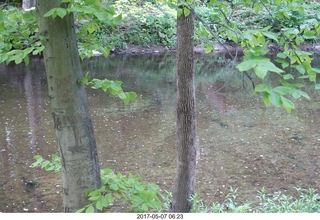 Pennypack Park run