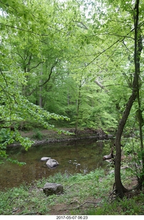 Pennypack Park run